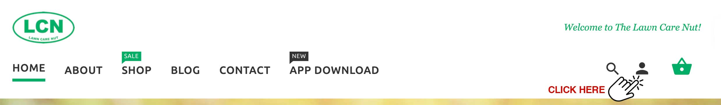 LCN_HomePageClickHere1.jpg