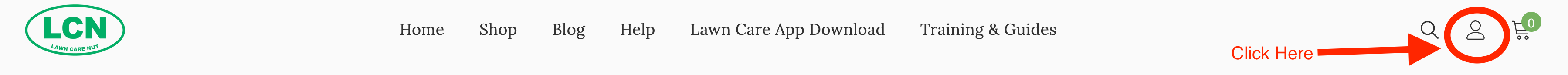 Screenshot 2024-11-20 at 2.51.09 PM.png