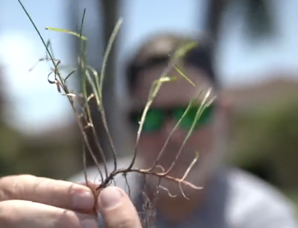 Screenshot 2026-01-14 at 2.38.52 PM.png