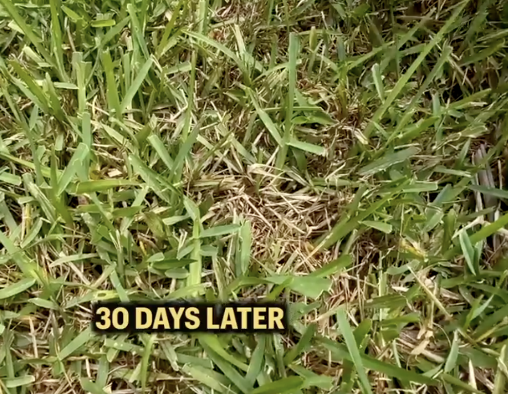 Screenshot 2026-01-14 at 2.42.23 PM.png