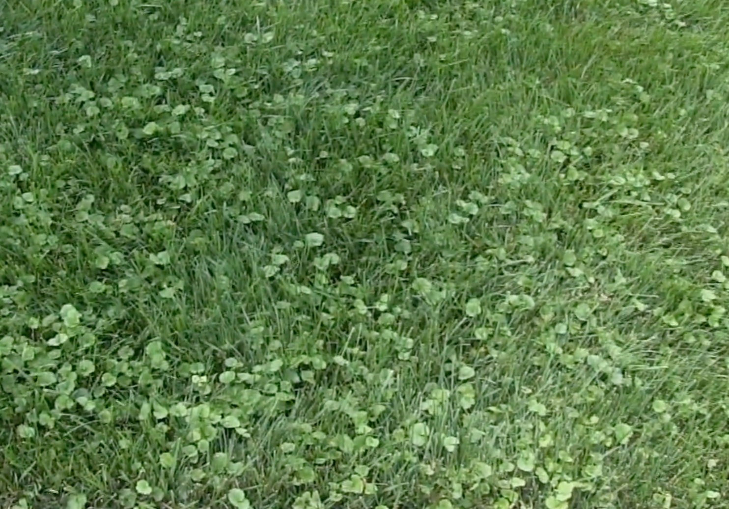 Screenshot 2026-01-20 at 2.36.45 PM.png